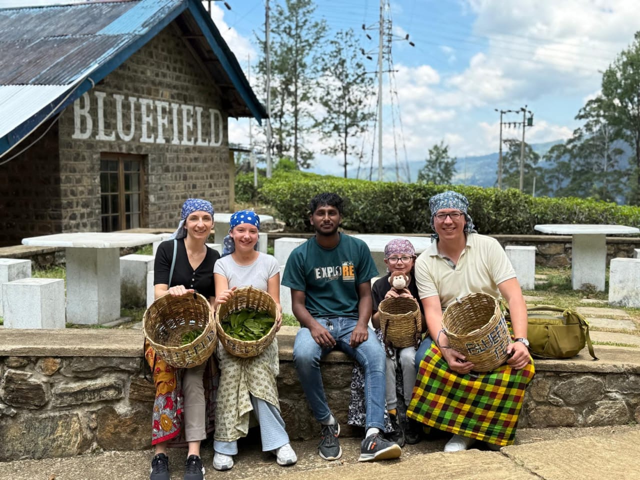 Tea picking